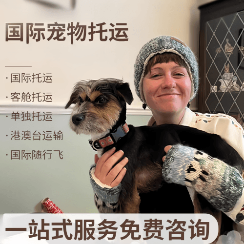 津南区国际宠物托运到阿根廷宠物入境规定和要