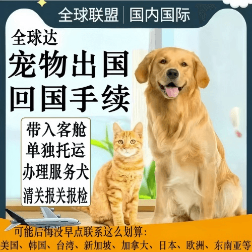 津南区宠物托运到柬埔寨宠物入境规定和要求