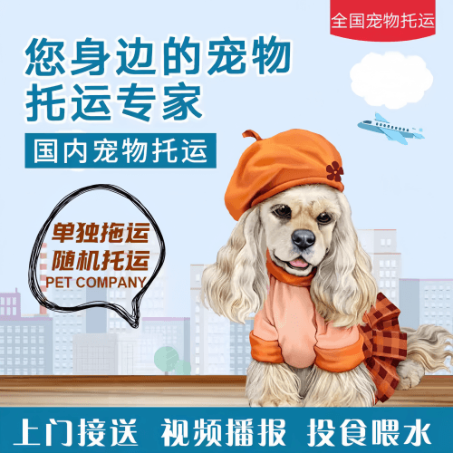 满财津南区宠物全球达宠物托运作为专业的宠物运输代理机构